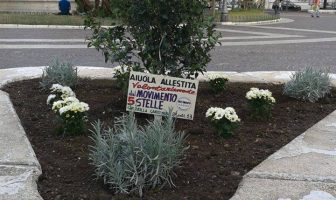 A qualcuno piace brullo. Il Comune dichiara guerra agli ambientalisti.