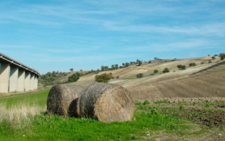 Tutela del territorio, il Consiglio regionale fa passi avanti mozioni, manzo, approvate, paesaggio del molise