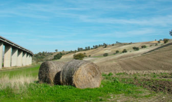 mozioni, manzo, approvate, paesaggio del molise