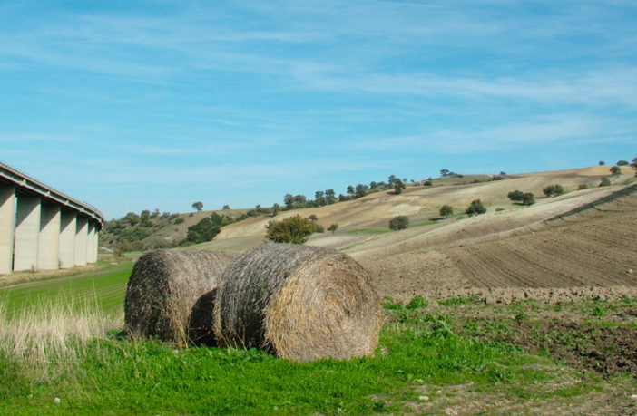 mozioni, manzo, approvate, paesaggio del molise