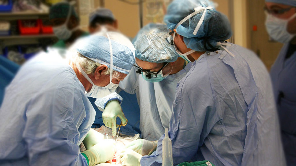 Pazienti con malattie rare e bisognosi di trapianto, Regione Molise