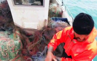 Il mare sta morendo, vi mostriamo come e vi spieghiamo la nostra proposta
