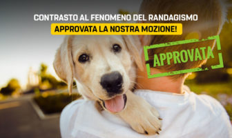 Randagismo, mozione M5S Molise approvata