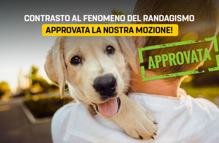 Randagismo, mozione M5S Molise approvata