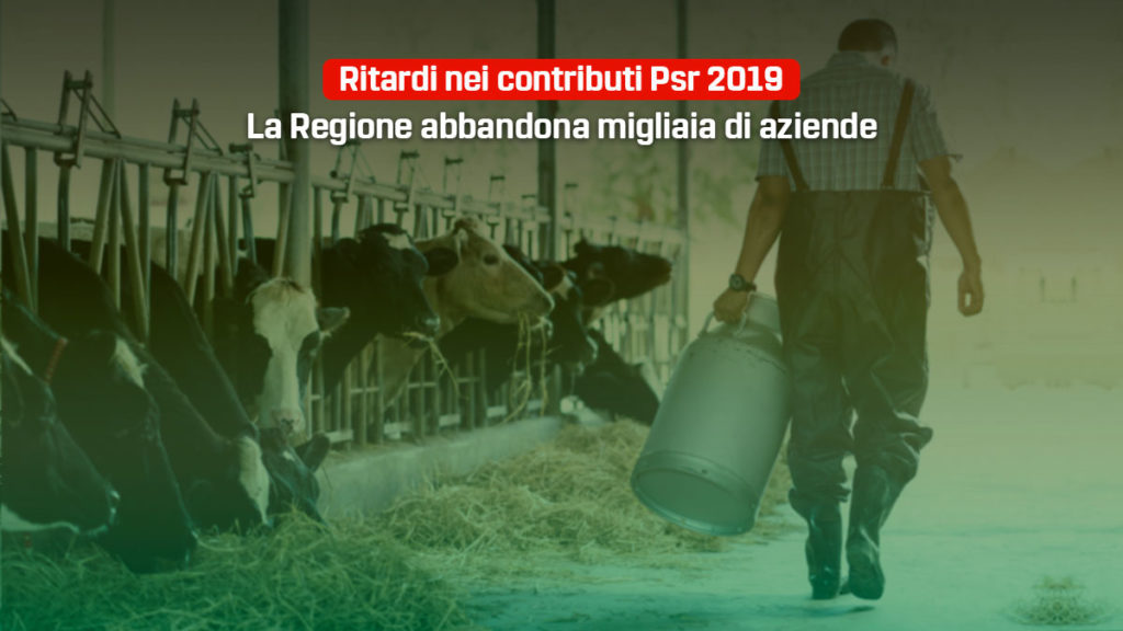 psr regione Molise in ritardo - interrogazione 5 Stelle, Primiani
