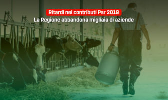 psr regione Molise in ritardo - interrogazione 5 Stelle, Primiani