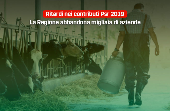 psr regione Molise in ritardo - interrogazione 5 Stelle, Primiani