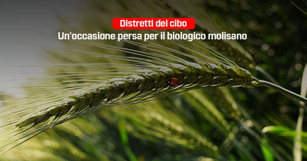 distretti del cibo, occasione persa per il Molise