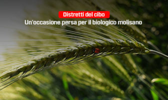 distretti del cibo, occasione persa per il Molise