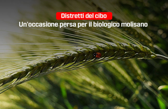 distretti del cibo, occasione persa per il Molise