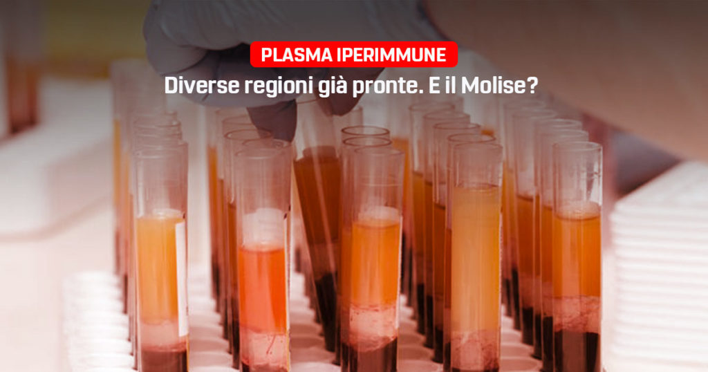 Plasma iperimmune, Primiani M5S Molise