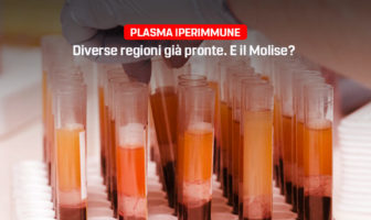 Plasma iperimmune, Primiani M5S Molise