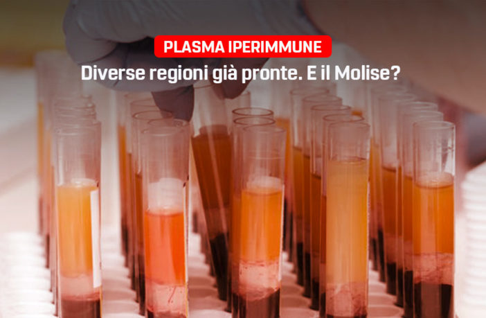 Plasma iperimmune, Primiani M5S Molise