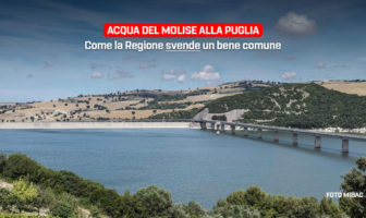 Acqua del Molise alla Puglia, Patrizia Manzo