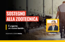 zootecnia, nuovo bando