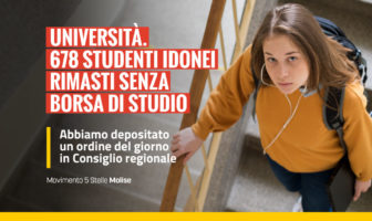 Borse di studio universita