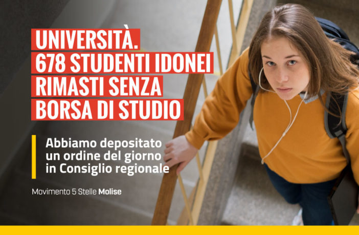 Borse di studio universita