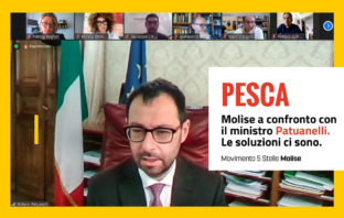 Pesca, Molise a confronto con il ministro Patuanelli. Le soluzioni ci sono Patuanelli, pesca