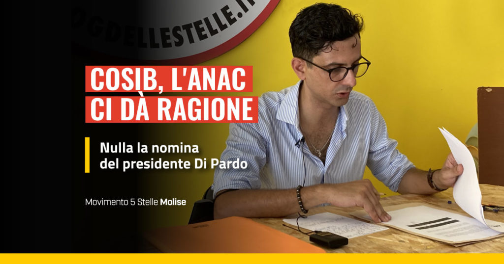 Anac, illegittima la nomina di Di Pardo al Cosib