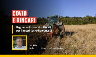 Vittorio Nola chiede soluzioni strutturali per gli effetti dei rincari in agricoltura