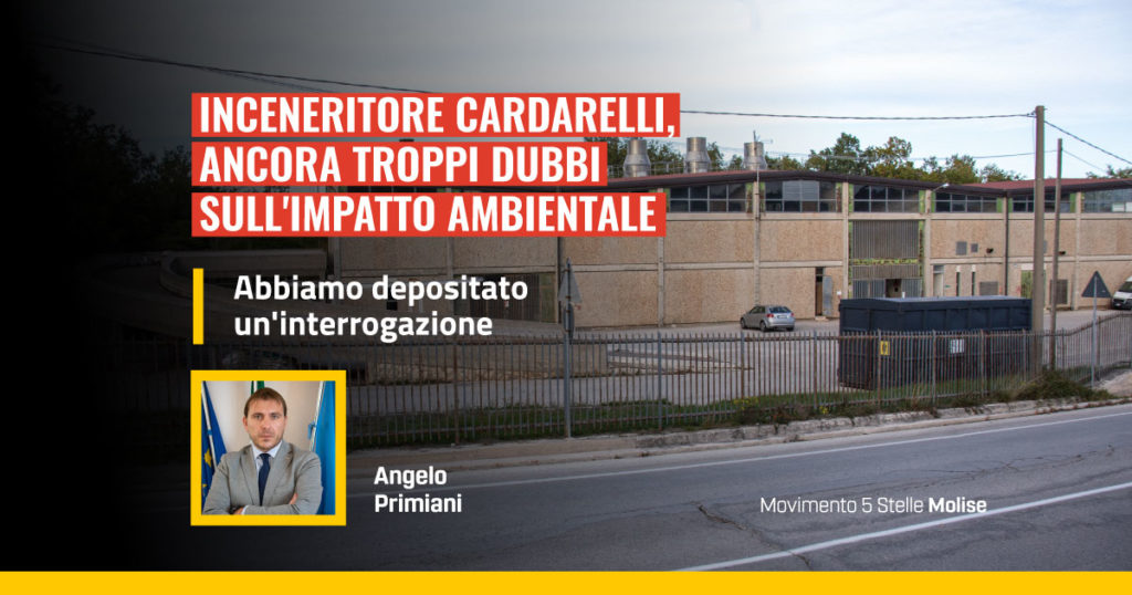 inceneritore cardarelli