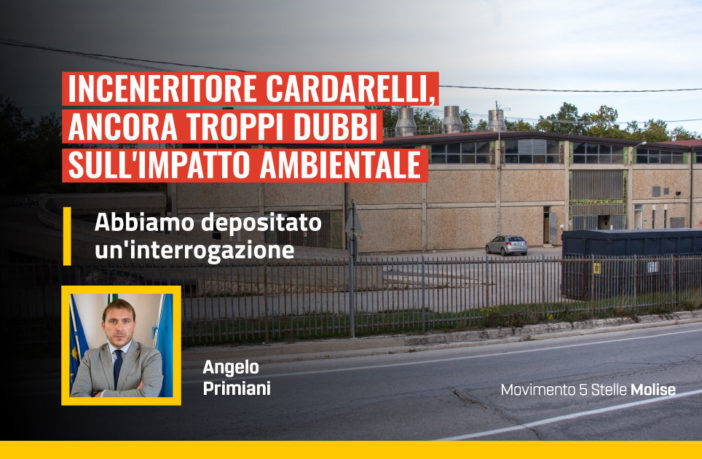 inceneritore cardarelli