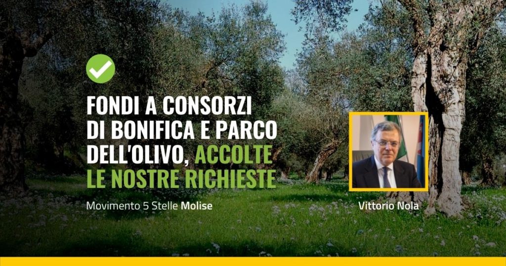 Parco dell'olivo a Venafro e consorzi di bonifica fondi dal bilancio 2022 grazie al M5S Molise