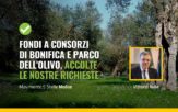 Parco dell'olivo a Venafro e consorzi di bonifica fondi dal bilancio 2022 grazie al M5S Molise