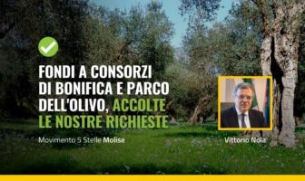 Parco dell'olivo a Venafro e consorzi di bonifica fondi dal bilancio 2022 grazie al M5S Molise