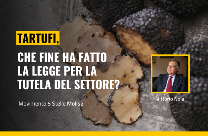 tartufo molisano proposta di legge bloccata