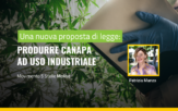 Patrizia Manzo pdl canapa industriale m5s molise