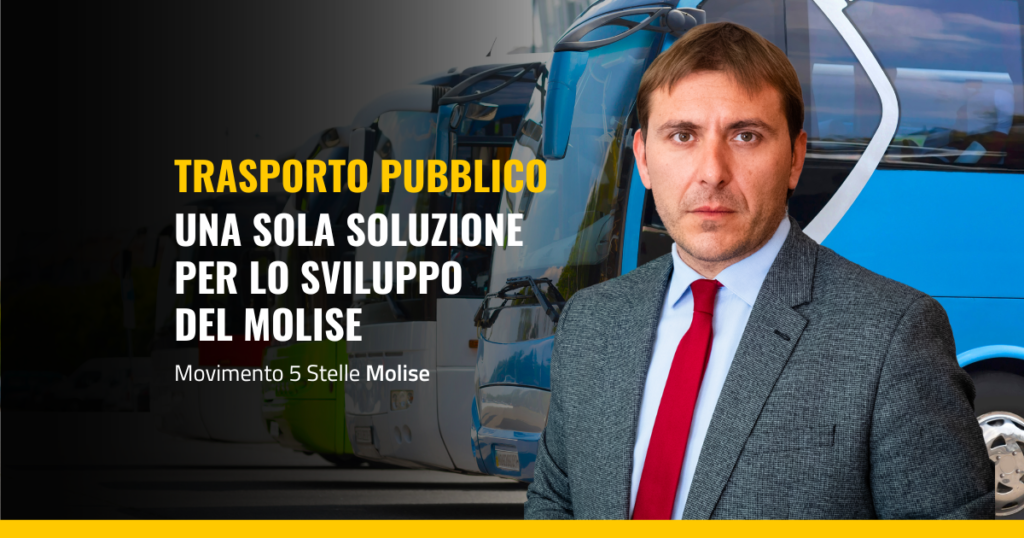 TPL primiani m5s