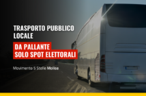 angelo primiani M5S, pallante TPL