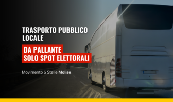 angelo primiani M5S, pallante TPL